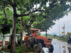 Dự án cắt tỉa cây xanh thuận an