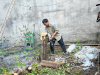 Cắt tỉa cây xanh Phường Đông Hòa TP.HCM