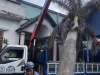 dịch vụ cắt tỉa cây xanh phường bầu bàng hồ chí minh 