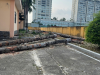 Cắt Tỉa Cây Xanh TP.HCM Uy Tín – An Toàn – Giá Rẻ Nhất
