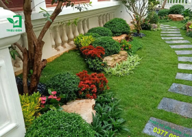 tại sao phải cắt tỉa cây xanh thường xuyên