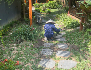 chăm sóc cải tạo sân vườn tại HCM