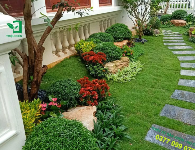 tại sao phải cắt tỉa cây xanh thường xuyên