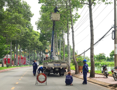 Dự án cắt tỉa cây xanh tại nhà 