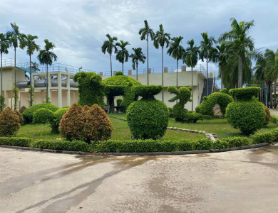 chăm sóc cây xanh kcn mỹ phước 