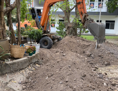 Chăm sóc cây xanh - Dịch vụ chuyên nghiệp, giá tốt, dọn sạch