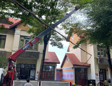 Cắt tỉa cây xanh phường Phú An HCM