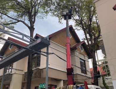 dịch vụ cắt tỉa cây xanh tại phường dĩ an tp hồ chí minh 