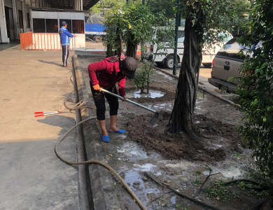 cắt tỉa dọn dẹp sân vườn đón tết tại bình dương hồ chí minh 