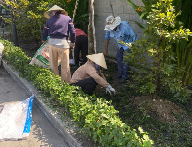 cắt tỉa dọn dẹp sân vườn đón tết tại bình dương hồ chí minh 