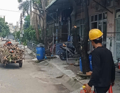 dịch vụ cắt tỉa cây xanh phường Chánh Hiệp Bình Dương
