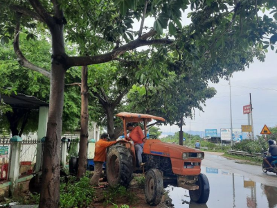 Dự án cắt tỉa cây xanh thuận an