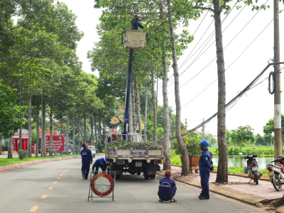 Dự án cắt tỉa cây xanh tại nhà 