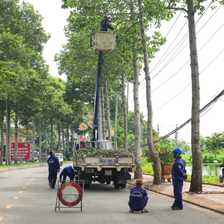 CÂY XANH TRẦN LONG