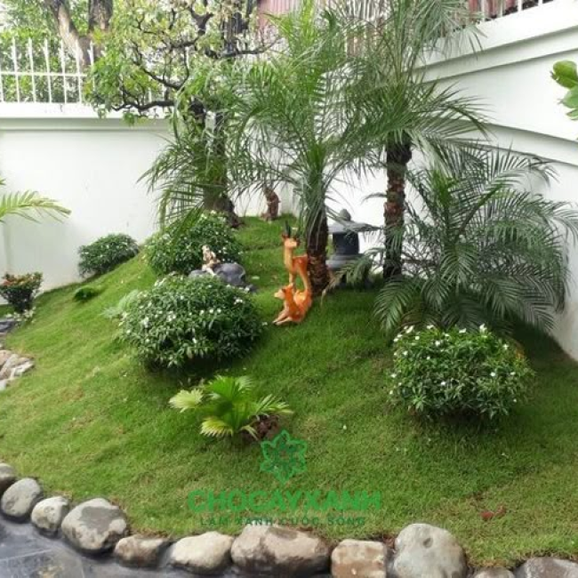 tiểu cảnh sân vườn đẹp