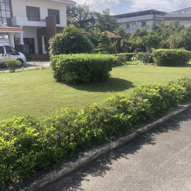 sửa chửa sân vườn tiểu cảnh