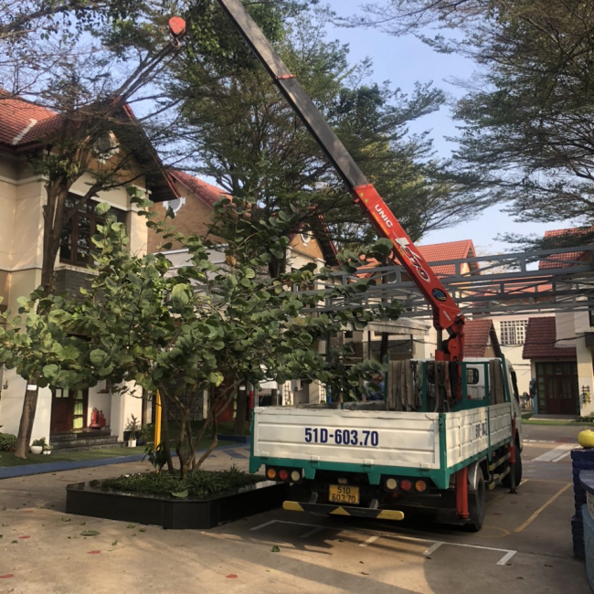 cắt tỉa cây xanh vào mùa mưa bão