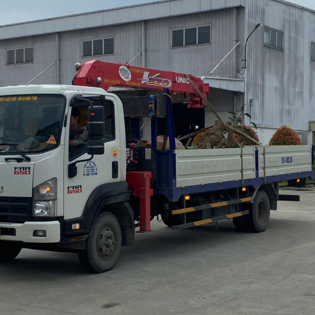 dịch vụ di dời cây xanh tại kcn viship 123