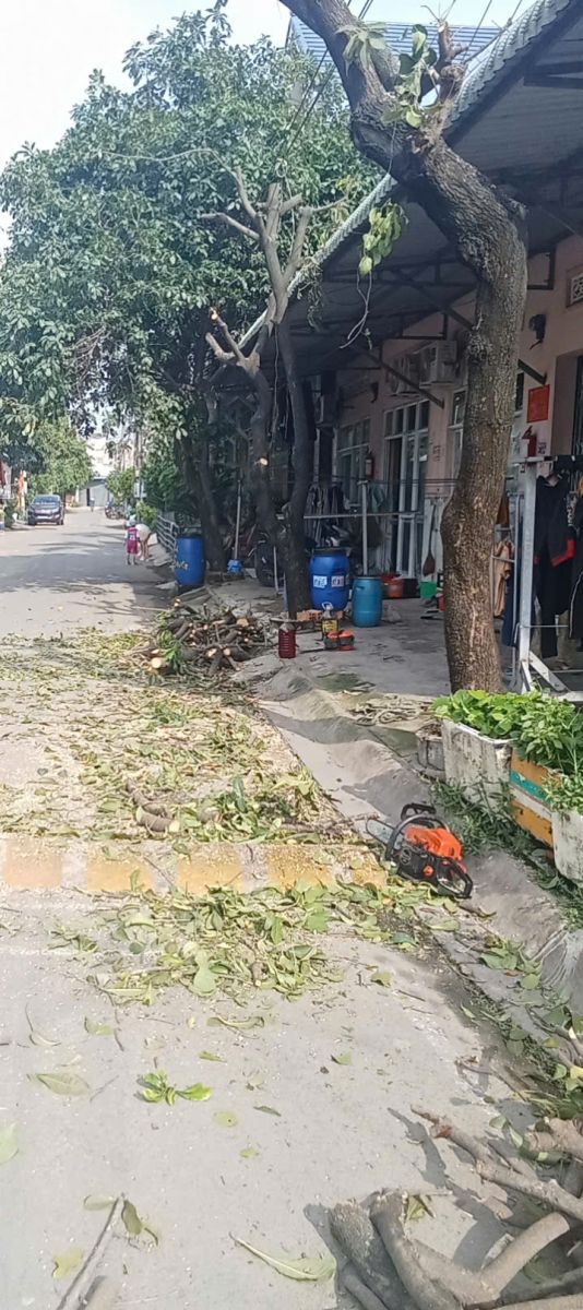 Cắt tỉa cây xanh Phường Đông Hòa TP.HCM