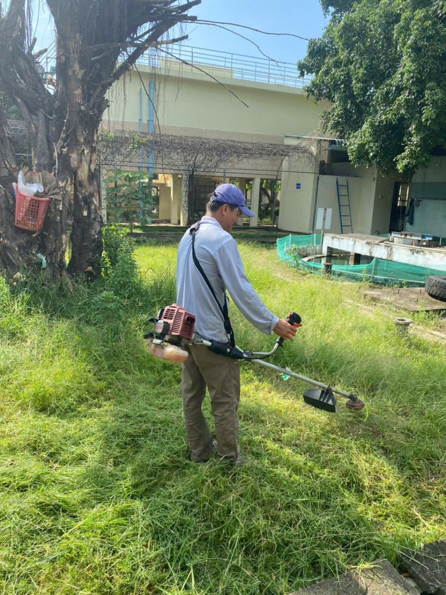 Bảng giá dịch vụ chăm sóc cây cảnh định kỳ