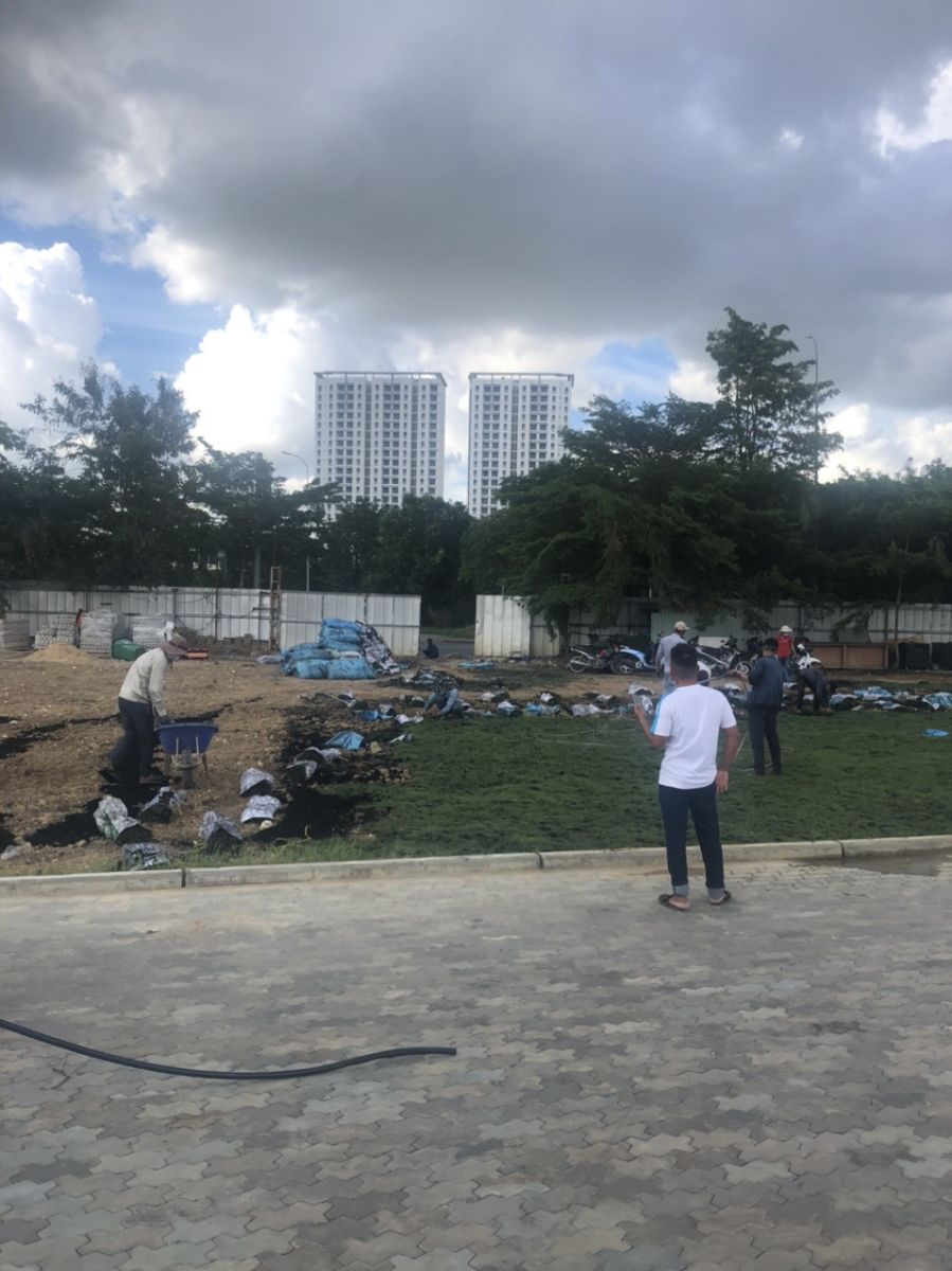 dịch vụ chăm sóc cây cảnh định kỳ