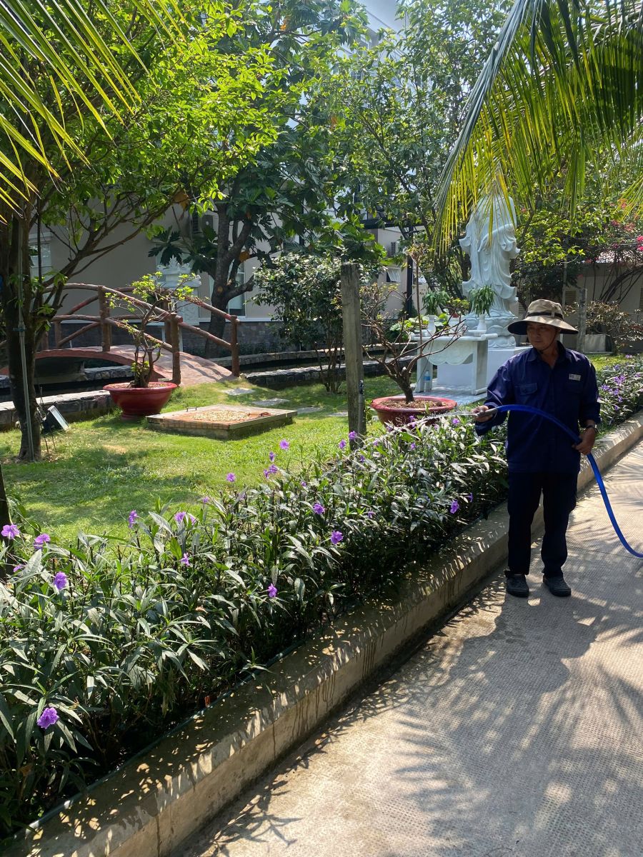 dịch vụ chăm sóc cây xanh tại bình dương hồ chí minh 