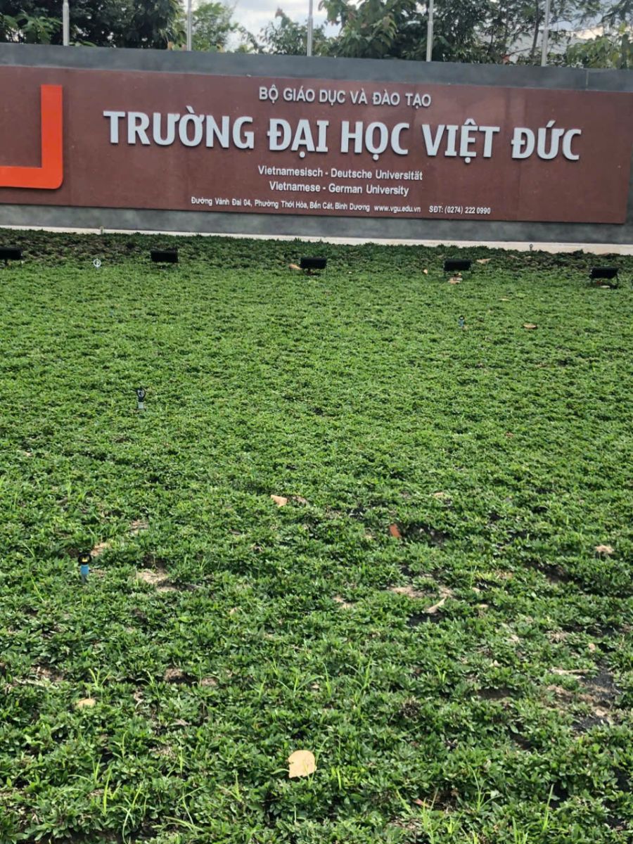 GIÁ DỊCH VỤ TRỒNG CỎ SÂN VƯỜN TẠI BÌNH DƯƠNG , HỒ CHÍ MINH.