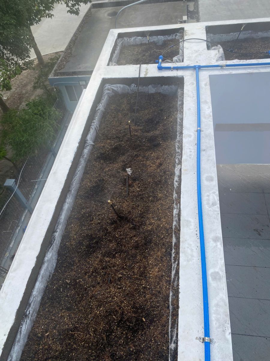 thi công hệ thống tưới tự động giá rẻ bình dương