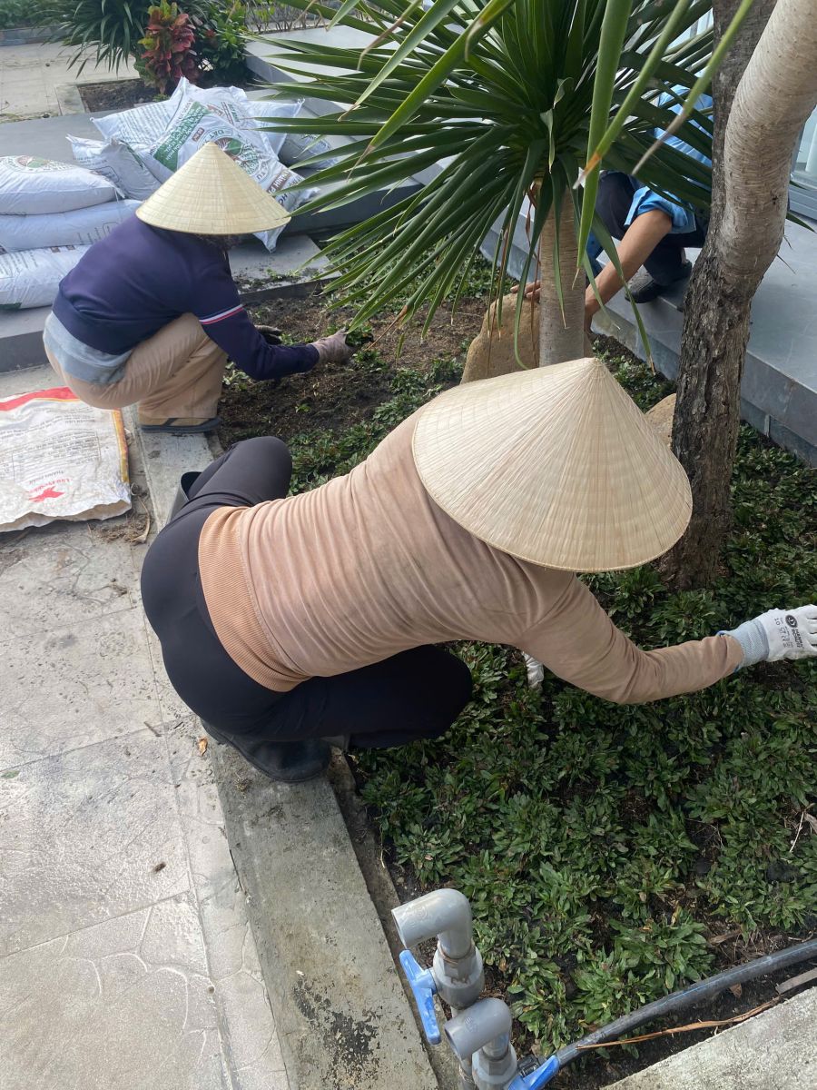 dịch vụ thi công cải tạo sân vườn 