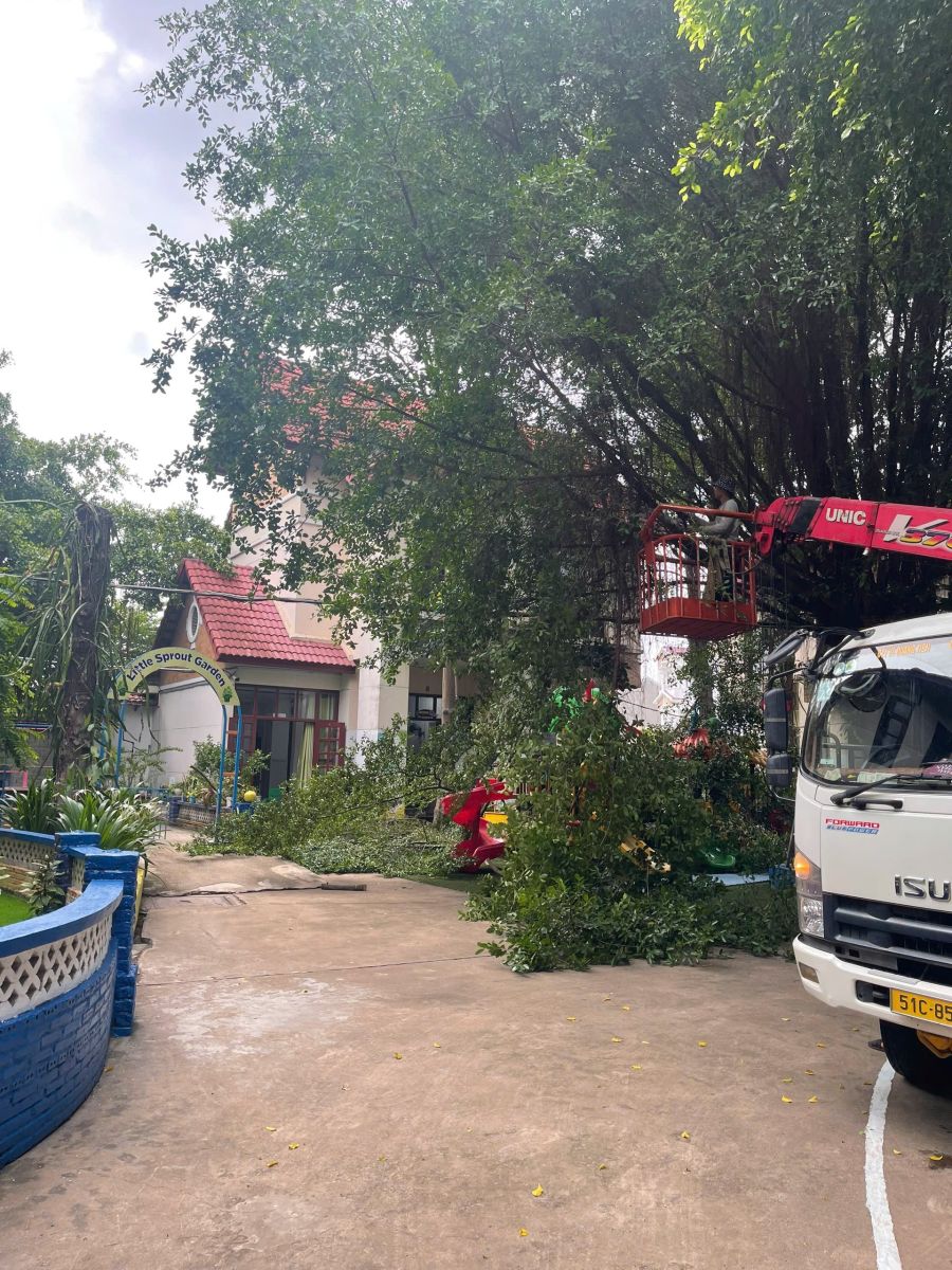 Cắt tỉa cây xanh Tân Hiệp Hóc Môn