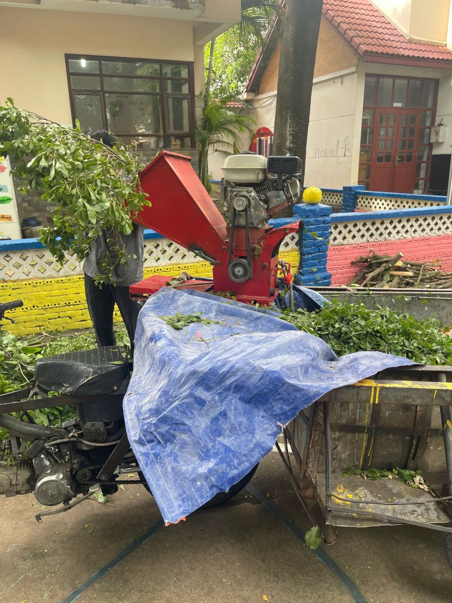 Cắt tỉa cây xanh phường Vĩnh Phú HCM xử lý rác cây xanh