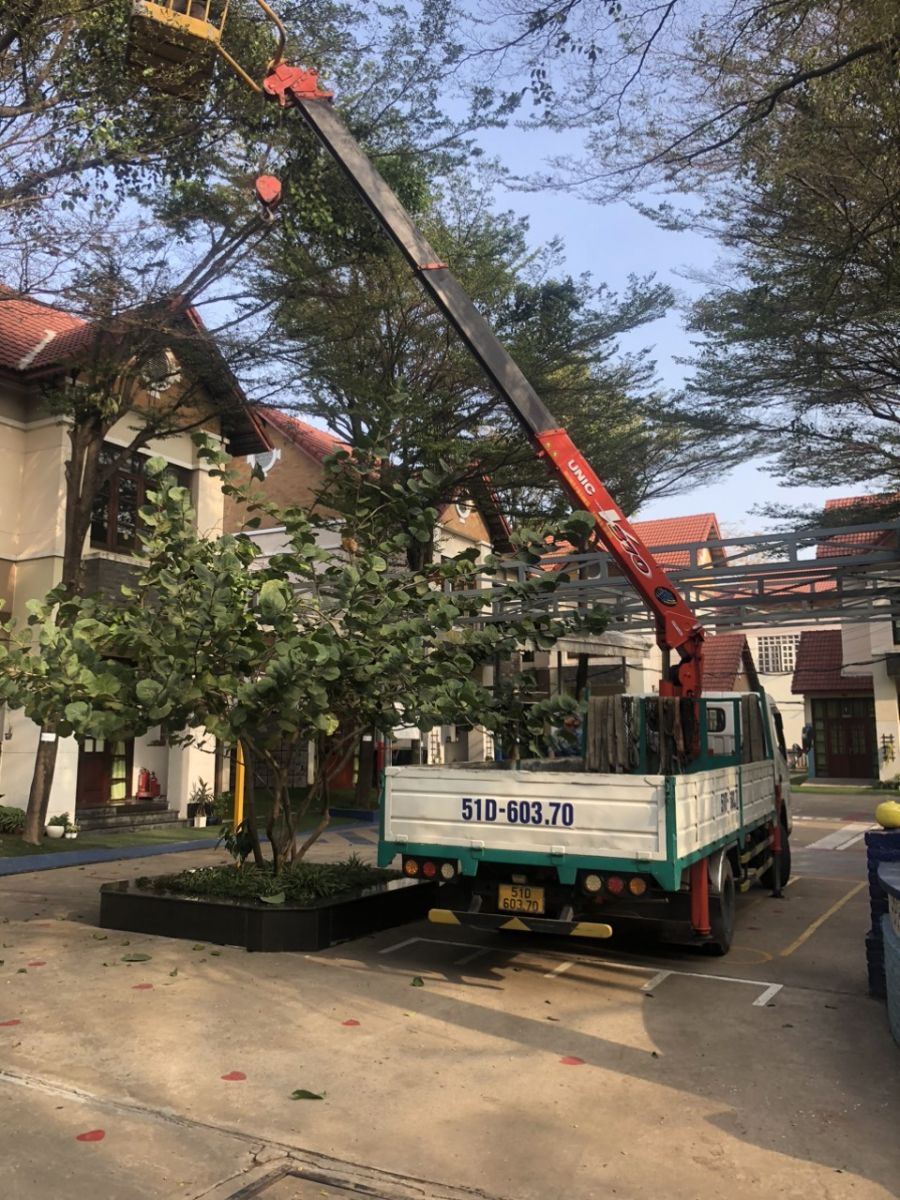 sử dụng xe nâng chuyên nghiệp