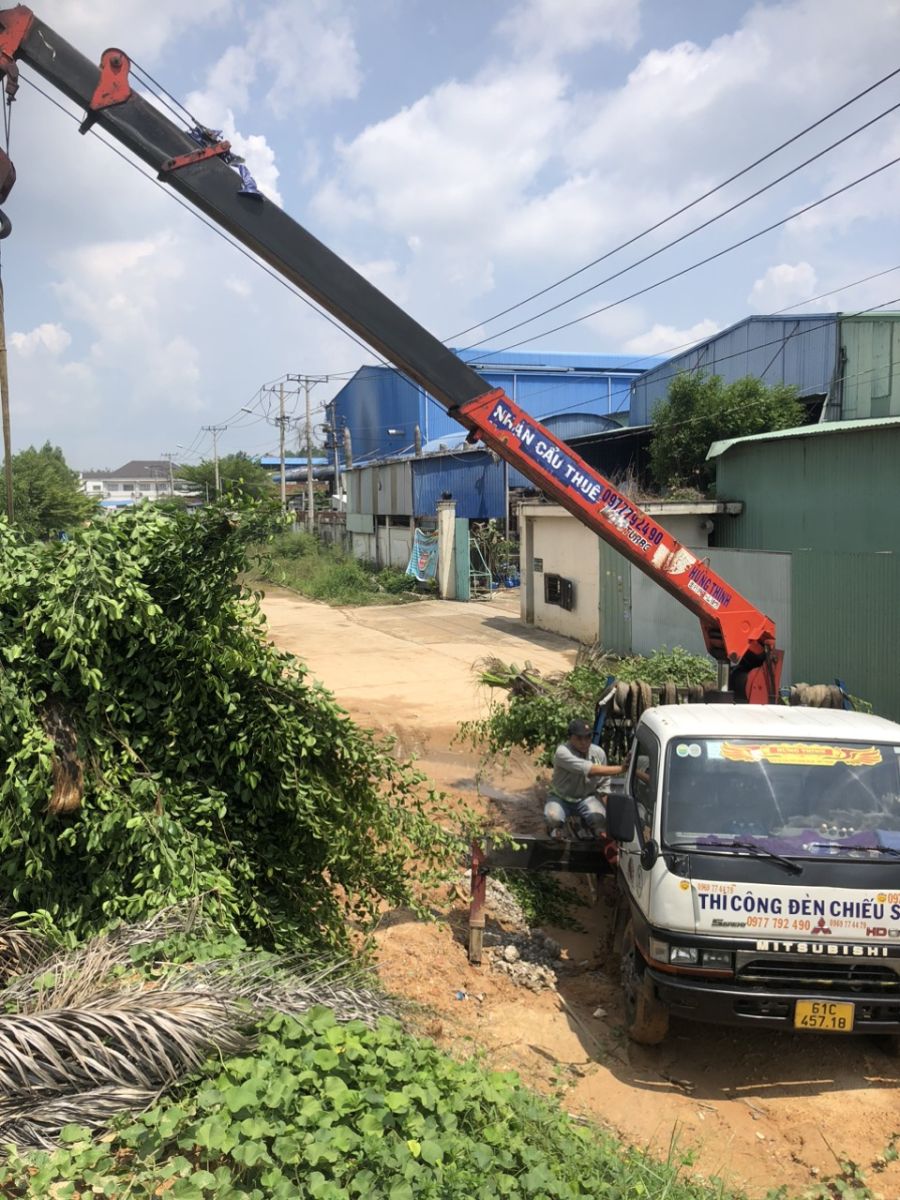 cắt tỉa cây xanh vào mùa mưa bão sử dugj xe cẩu chuyên dụng 