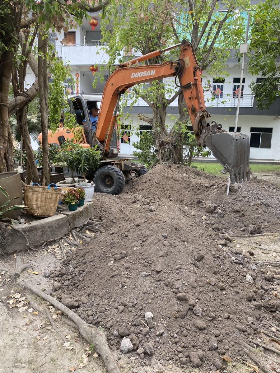di dời cây xanh thuận an