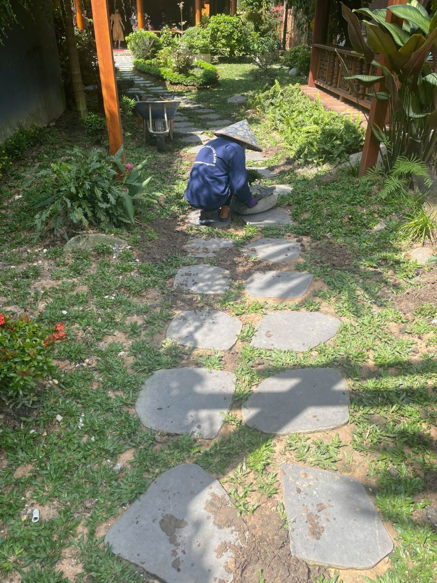 Chăm sóc thảm cỏ sân vườn tại Bình Phước