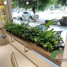 Bố trí cây xanh văn phòng đẹp hiện đại và sang trọng