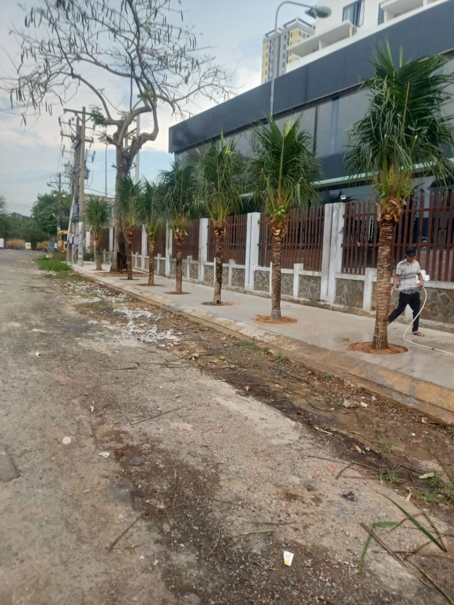 cắt tỉa cây xanh tại Uyên Hưng Bình Dương 